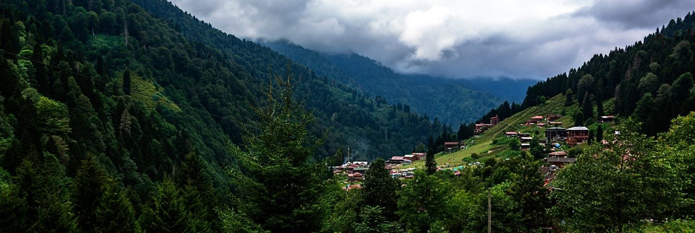 KARADENİZ YAYLALARI